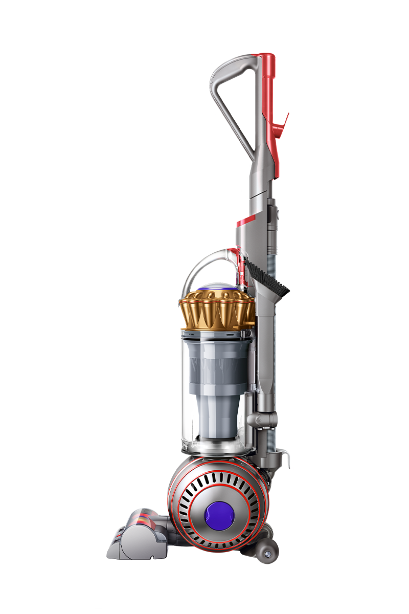 Support | Dyson Ball™ Animal 3 upright vacuum | Dyson