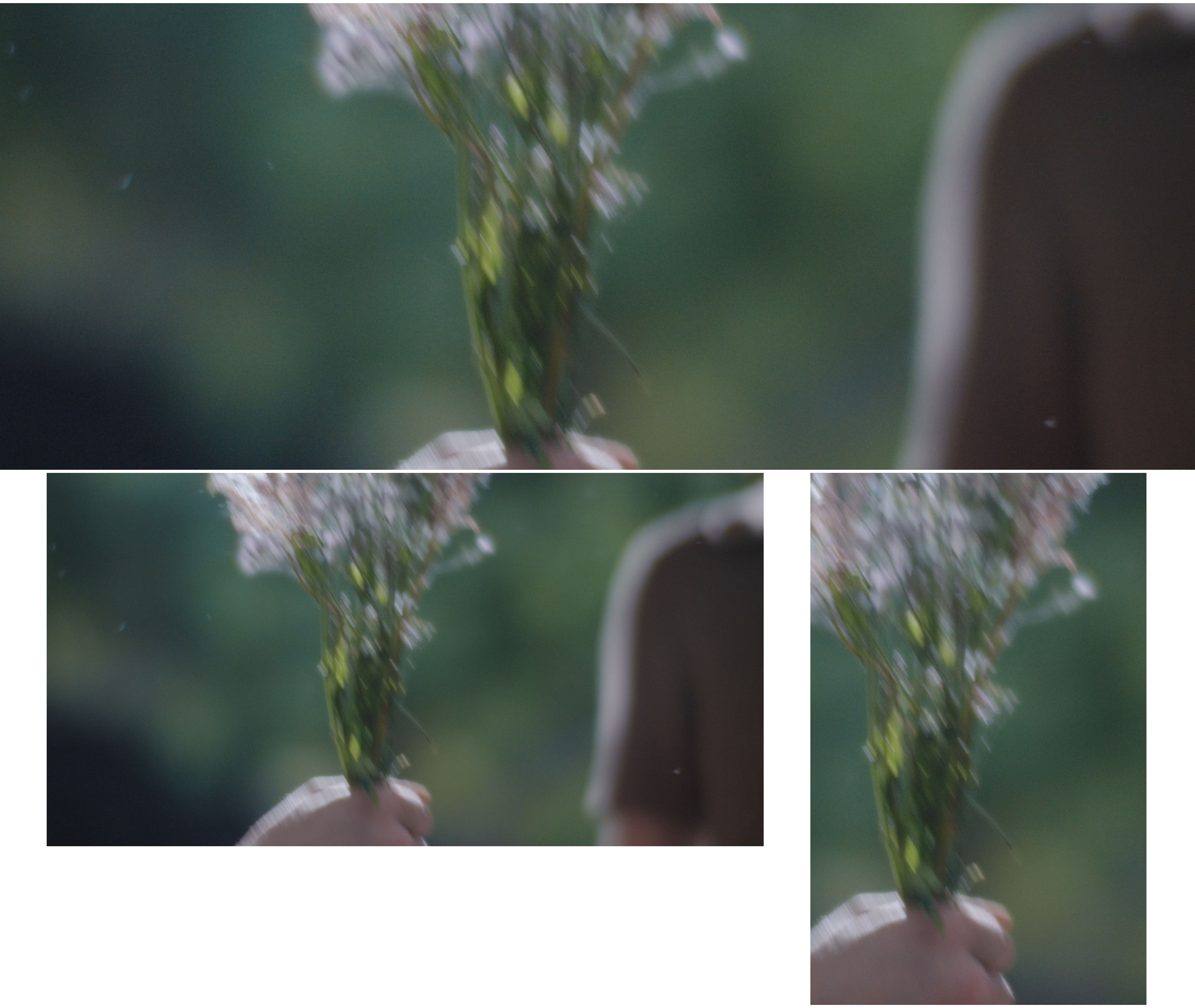A bunch of flowers held in a hand.